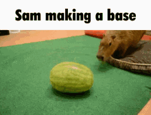 sparta base sparta remix sam sparta base sparta remix sam