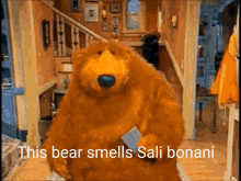 Salibonani This Bear GIF - Salibonani This Bear Smells GIFs