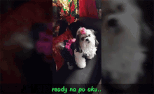 tzu it