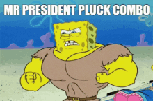 Mr President Pluck GIF - Mr President Pluck Yba GIFs