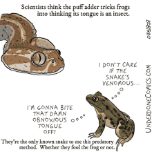 Underdone Comics Science GIF - Underdone Comics Science Biology GIFs
