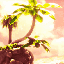 Paopu Fruit Paopujuice GIF - Paopu Fruit Paopujuice Kingdom Hearts GIFs