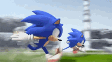 Sonic Race GIF - Sonic Race GIFs