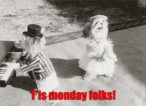 Its Monday Excited Dogs GIF - Its Monday Excited Dogs Good Monday Dogs ...