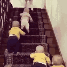 Stairs Babies GIF - Stairs Babies Climbing GIFs