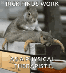 squirrel massage physical therapist