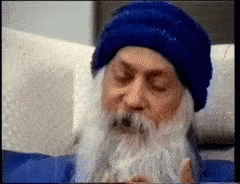 wild wild country osho wild wild country osho