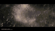 Sea Monster Reptile GIF - Sea Monster Reptile Weather Ford Monster GIFs