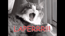 Laper Bet Ni Ampe Ngantuk GIF - Kucing Cat Lazy Cat GIFs