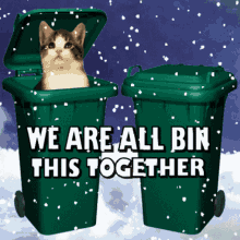We Are All In This Together Kittens In Snow GIF - We Are All In This Together Kittens In Snow Wheelie Bin GIFs