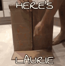 Heres Laurie Cat GIF - Heres Laurie Cat Open Box GIFs