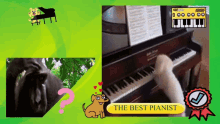 Dogs Play Piano GIF - Dogs Play Piano Best Pianist GIFs