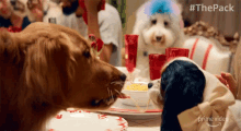 Meal The Pack GIF - Meal The Pack Pasta GIFs