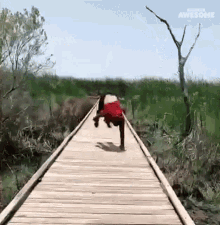 Tumbling People Are Awesome GIF - Tumbling People Are Awesome Flipping GIFs