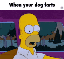 Dog Fart GIF - Dog Fart Decay GIFs