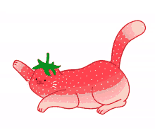 strawberry cats