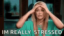 Stressed Realhousewives GIF - Stressed Realhousewives Rhob GIFs