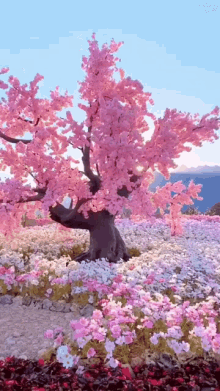 Nature Trees GIF - Nature Trees Flowers GIFs