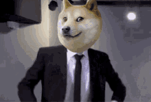 tunahands dogearmy dogecoin fud tunahands2 tunahands dogearmy dogecoin fud tunahands2