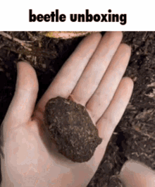 Beetle Unboxing Spider Unboxing GIF - Beetle Unboxing Spider Unboxing Unboxing GIFs