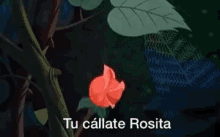 Callate Rosita GIF - Callate Rosita Callaterosita GIFs