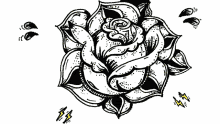 rose flower kyle waters geller hand drawn rose flower kyle waters geller hand drawn