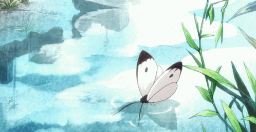 A toutes ces âmes déjà croisées Anime-butterfly