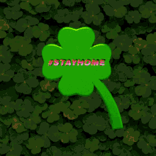 Stay Home Luck GIF - Stay Home Luck Four Leaf Clover GIFs