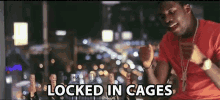 Locked In Cages Jailed GIF - Locked In Cages Jailed Locked Down GIFs