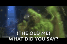 Grinch What Did You Say GIF - Grinch What Did You Say GIFs