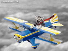 Pilot GIF - Pilot Cat Kitten GIFs