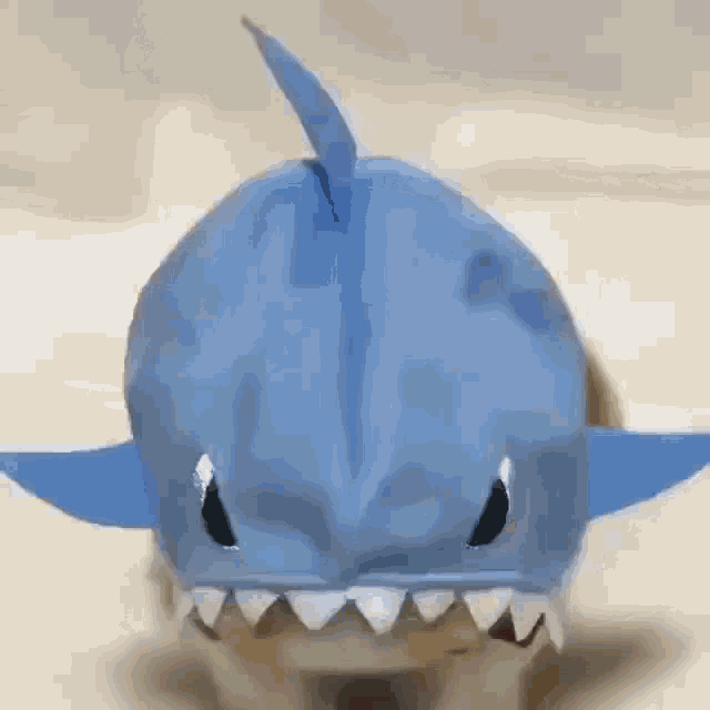 Shark Dog GIF - Shark Dog Costume GIFs