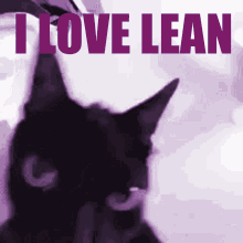 I Love Lean Meme Cat Loves Lean GIF - I Love Lean Meme Lean Cat Loves Lean GIFs