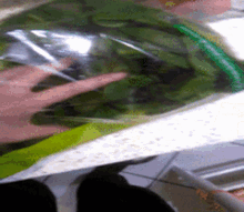 Spinach Cook GIF - Spinach Cook Vegetable GIFs