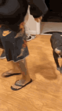 Dog Dancing GIF - Dog Dancing Yes Excited GIFs