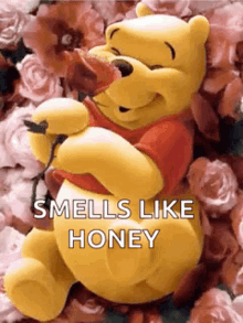 Winnie The Pooh Disney GIF - Winnie The Pooh Disney Flowers GIFs