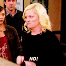 Parks And Rec Leslie Knope GIF - Parks And Rec Leslie Knope No GIFs