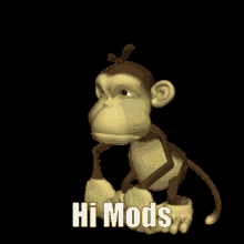 hi mods monkey hi hi monkey hello monkey discord hello monkey discord mod
