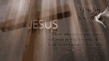 faith savior