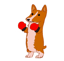 Fight Dog GIF - Fight Dog Puppy GIFs