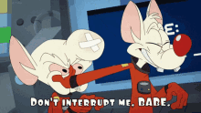 Animaniacs Pinky GIF - Animaniacs Pinky Dont Interrupt Me Babe GIFs