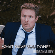 What Have You Done Charlie Hudson GIF - What Have You Done Charlie Hudson Hudson And Rex GIFs