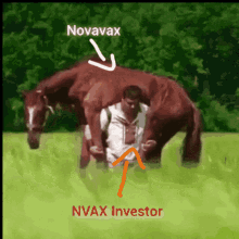 Nvax Novavax GIF - Nvax Novavax Investor GIFs
