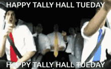 Tally Hall Tuesday GIF - Tally Hall Tuesday Tally Hall Tueday GIFs