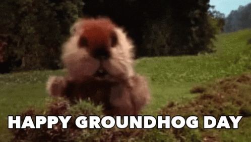 groundhog-day-groundhogs-day.gif