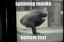 Monke Spin GIF - Monke Spin Spinning GIFs