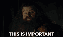This Is Important High Priority GIF - This Is Important High Priority Urgent GIFs