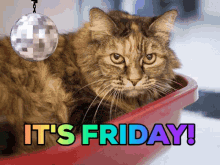 Purrfect Its Friday GIF - Purrfect Its Friday Cat GIFs