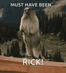 Rick Marmot GIF - Rick Marmot Scream GIFs