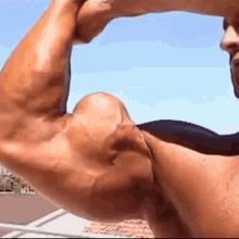 Biceps Muscle GIF - Biceps Muscle Bicep GIFs
